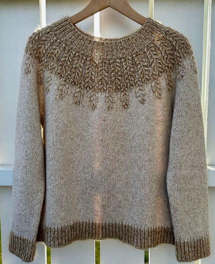 Pull Tricot Chic